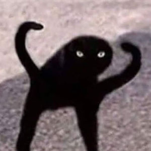 Meet your Posher, Isa